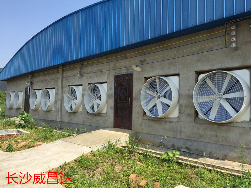 車間降溫設備水簾風機效果好，適用廣泛